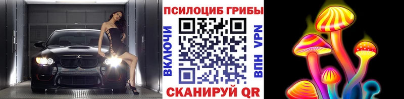 Купить где  Всеволожск  Галлюциногенные грибы Psilocybe 